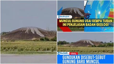 Fenomena Viral Gunung Baru Muncul Di Grobogan Usai Gempa Tuban Pvmbg