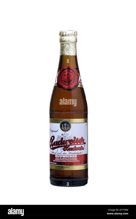 Food And Beverages Alcohol Beer Bottle Budweiser Budvar