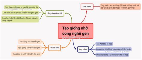 Tạo giống nhờ công nghệ gen Sinh học 12 SGK Sinh lớp 12