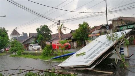 Hujan Deras Dan Angin Kencang Puluhan Pohon Di Bantul Tumbang