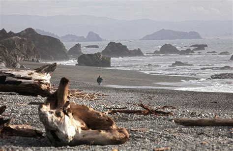 20 Motivi Per Visitare La Costa Meridionale Oregon Questa Estate