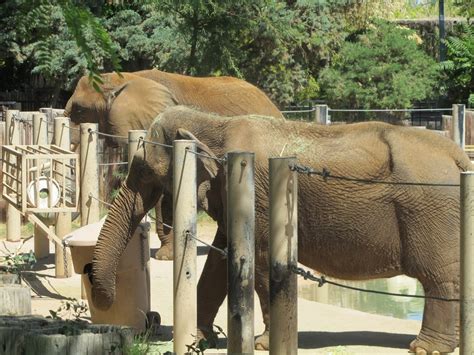 Az Buddy Reid Park Zoo Tucson