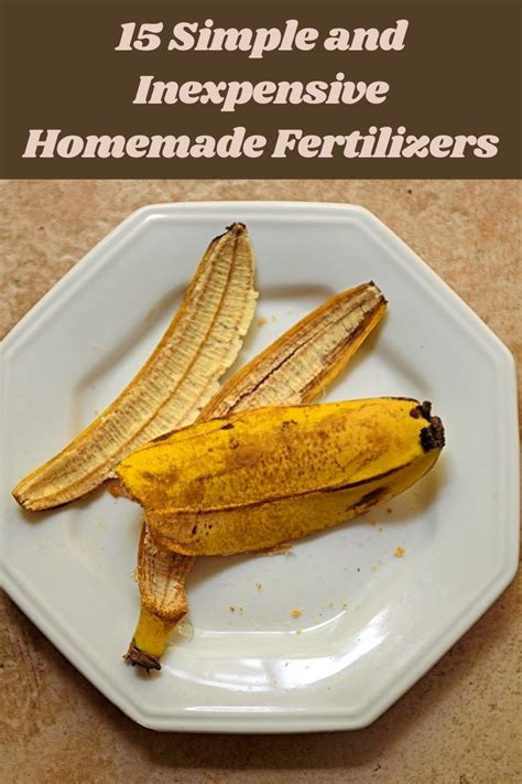 15 Simple And Inexpensive Homemade Fertilizers Banana Peel Uses