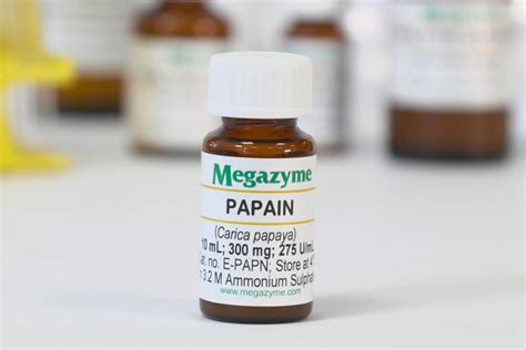 Papain Carica papaya Enzyme | Megazyme