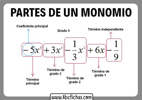 Cuales Son Las Partes De Un Monomio Concepto Matemático