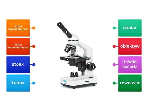 Budowa Mikroskopu Rysunek Z Opisami