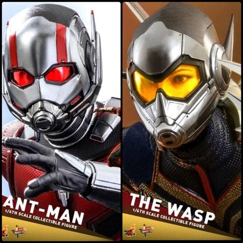 Hot Toys Bundle Antman Wasp MISB Hobbies Toys Toys Games On Carousell