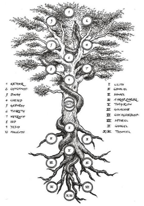 Qabalistic Tree Of Life And The Qliphoth Древо жизни Масонские