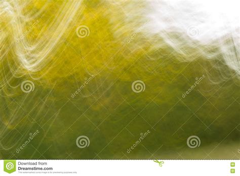 Blurry Abstraction Of Natural Forest Stock Image Image Of