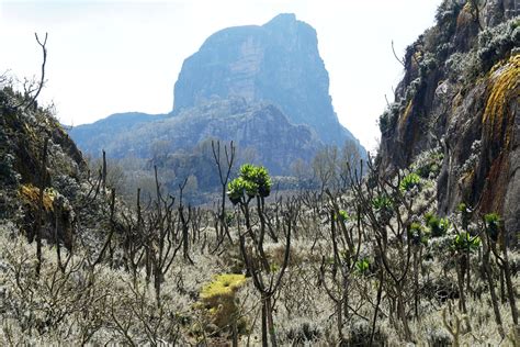 Highlights of the Rwenzori Mountains – jontynz – tales from around the ...