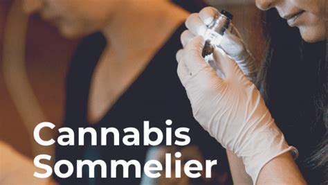 Cannabis Sommelier Certification Cannareps