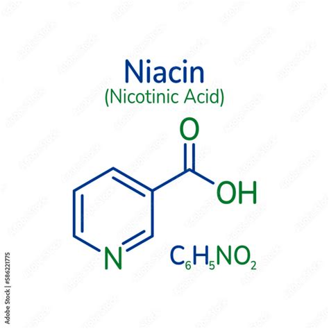 Niacin Molecular Formula Vector Illustration Nicotinic Acid Skeletal