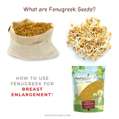 Fenugreek For Breast Enlargement How To Use Fenugreek Seeds Shopno Dana