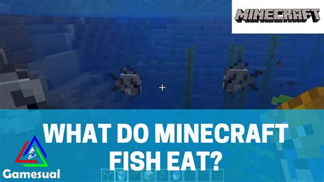 What Do Minecraft Fish Eat Complete Guide Gamesual