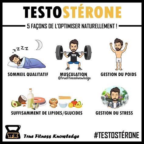 Optimiser Son Taux De Testost Rone Naturellement True Fitness Knowledge