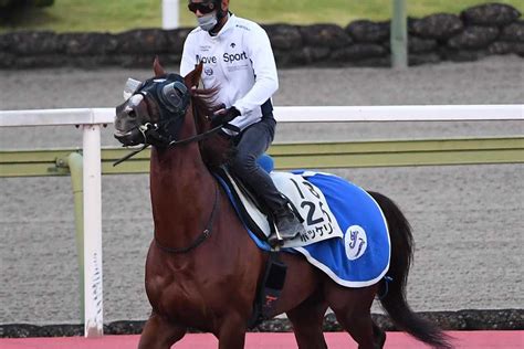 【京都大賞典】ボッケリーニ重賞連勝いただき！ サンスポzbat