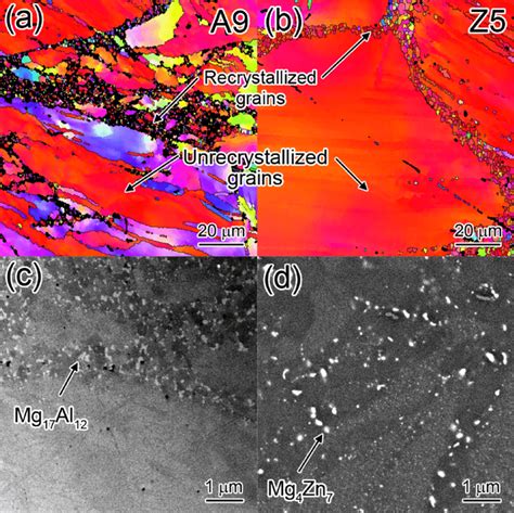 EBSD IPF Maps Obtained From The As Extruded A A9 And B Z5 Alloys