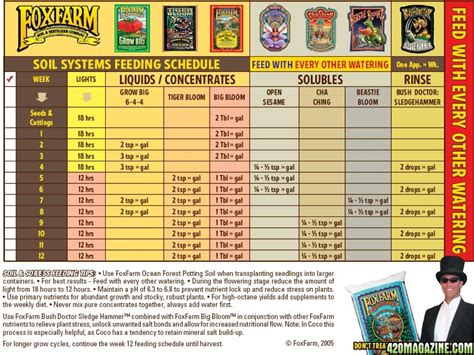 Fox Farm Feeding Chart A Visual Reference Of Charts Chart Master