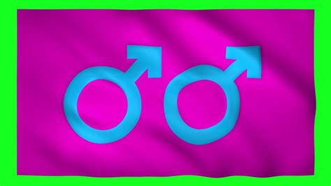 gay y masculino género símbolo en el bandera en verde pantalla para croma llave Vídeo