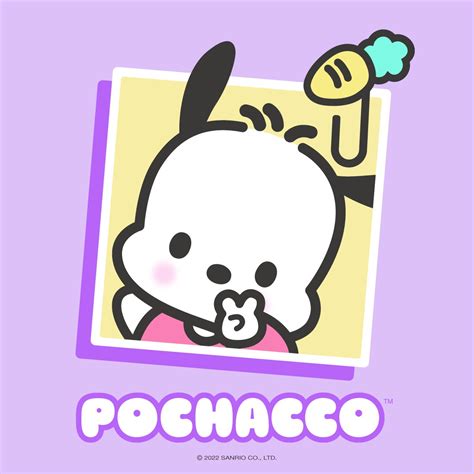 Sanrio On Twitter Super Sporty And Lots Of Fun Pochacco Is Our