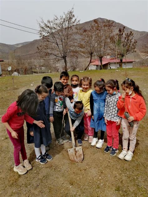 Okulumuzda Fidan Dikimi Ger Ekle Tirildi Ehit Ayd N Y Lmaz Ortaokulu