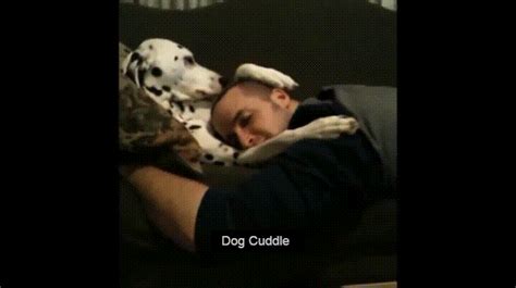 Dog Cuddle GIF - Find & Share on GIPHY