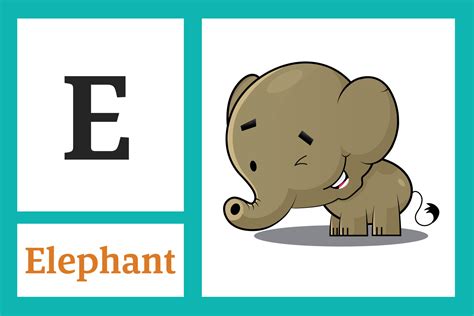 Alphabet With Letter E For Elephant 16711926 Vector Art At Vecteezy