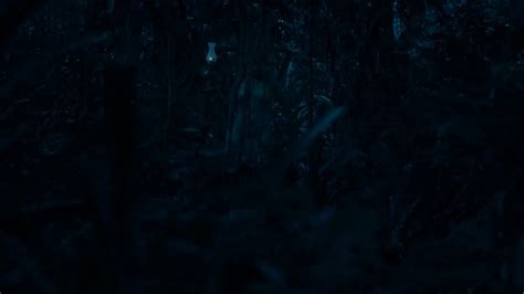 Nude Video Celebs Maeve Jinkings Nude Magali Biff Nude Acucar 2017