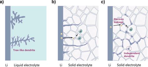 Schematic illustrations of dendrite formation. a) Dendrite formation in ...