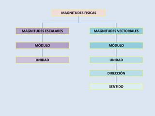 Magnitudes Escalares Y Vectoriales PPT