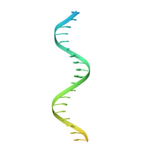 RCSB PDB 8A8J Complex Of RecF And DNA From Thermus Thermophilus