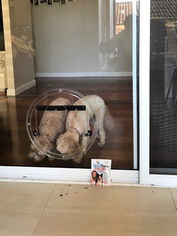 Leaders in the professional installation of cat doors and installation ...