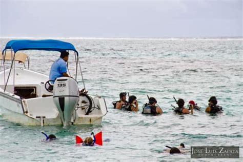 Scuba Diving In San Pedro Ambergris Caye