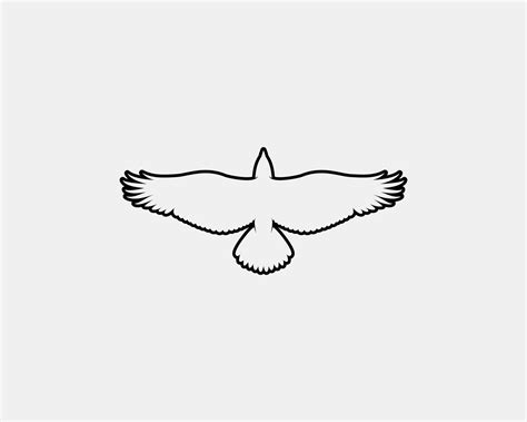 Eagle Outline Vector Silhouette 11542506 Vector Art At Vecteezy