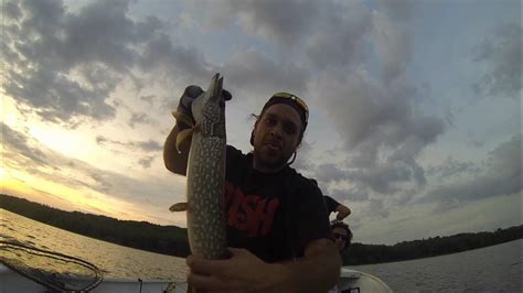 Summer Time Fishing Pike And Jumbo Perch Fishing In Lake Simcoe Youtube