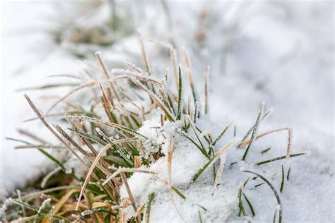 Wetter In Deutschland Meteorologe Ist Besorgt Von Februar Prognose