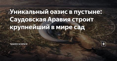 Уникальный оазис в пустыне Саудовская Аравия строит крупнейший в мире