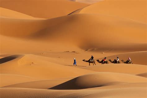 Passeio de camelo pelo deserto de Dubai jantar e espetáculo