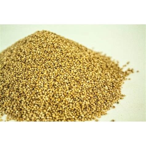 Organic Millet In Hyderabad Latest Price Mandi Rates From Dealers