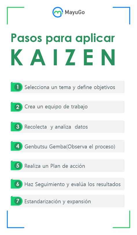 Pasos Del Proceso Kaizen