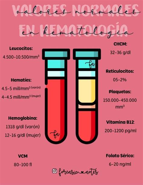 Hemograma Valores Normales Anormales Y Causas Udocz Images