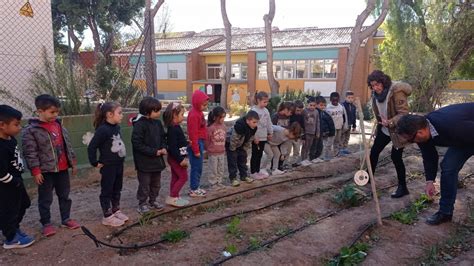 Vamos Al Huerto Escolar Ceip San Clemente Sedav