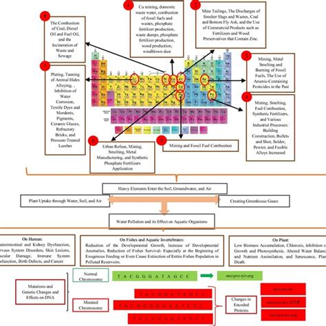 Different Adverse Effects Of Heavy Metals On Environmental Components Download Scientific Diagram