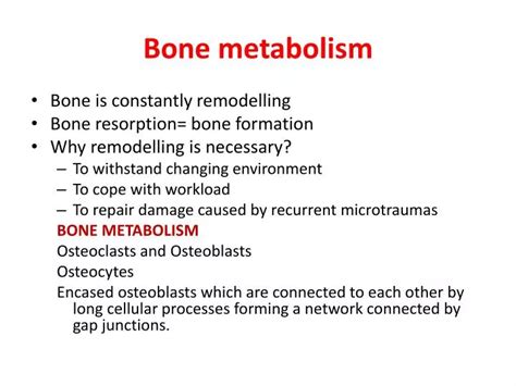 PPT - Bone metabolism PowerPoint Presentation, free download - ID:1973108