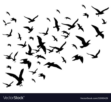 Flying Birds Flock Isolated Royalty Free Vector Image