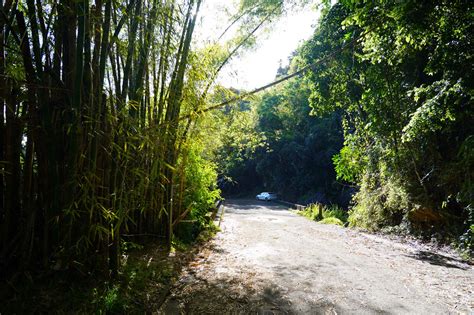 Rio Espiritu Santo Waterfall - On The Free Side Of El Yunque