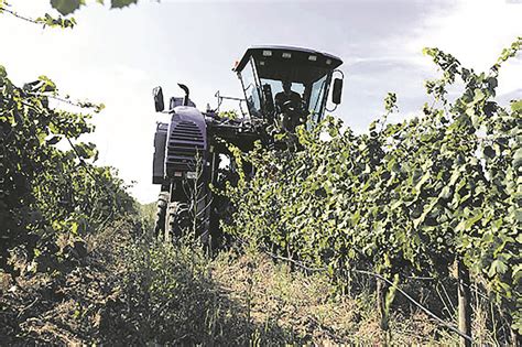 Lalt Empord Rep Euros En Ajuts A Les Zones Rurals Hora Nova