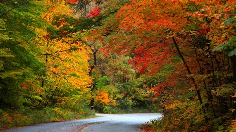 12 Best Places To Experience Fall In Michigan - Midwest Explored