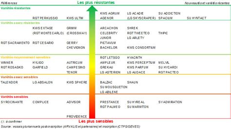 Le risque de verse sur blé tendre en 2023 ARVALIS