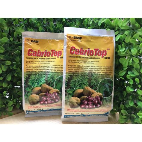 Jual Cabriotop Wg Fungisida Gram Shopee Indonesia